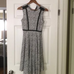 Black and white beauty